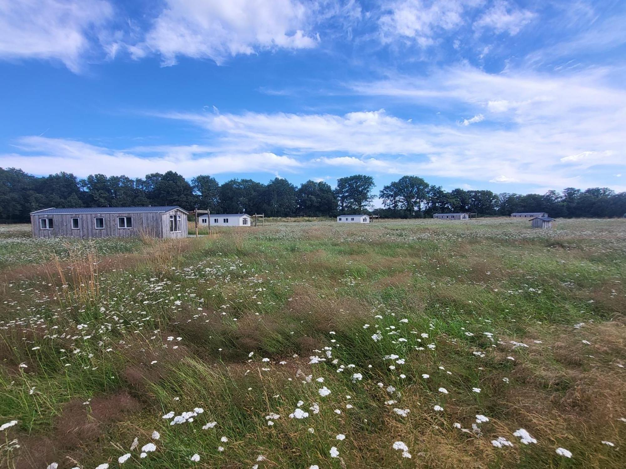 הוילה Heythuysen Hoeve Twente - De Buizerd מראה חיצוני תמונה
